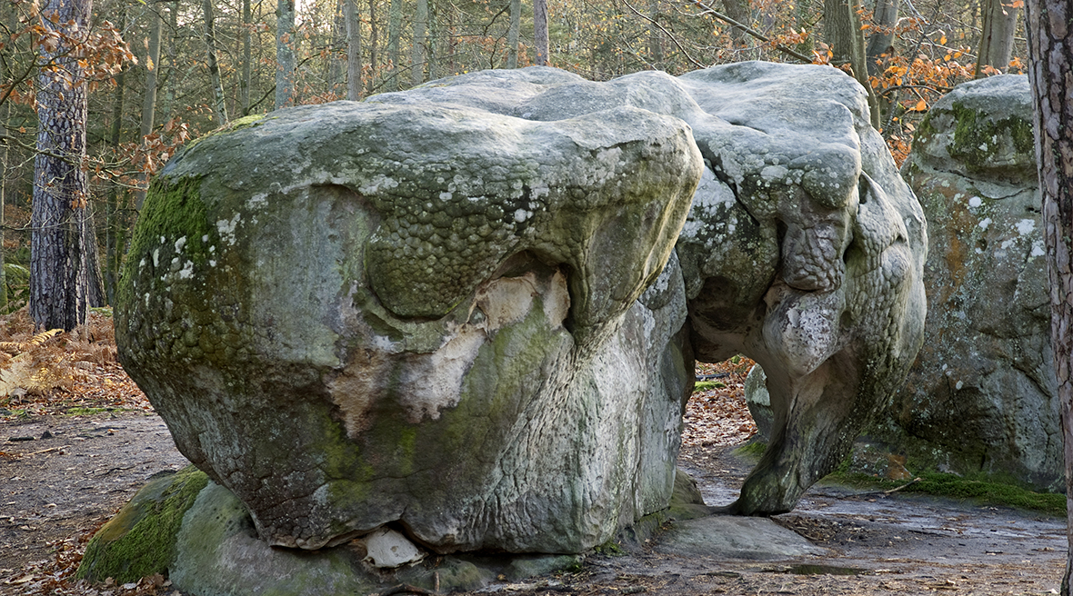 Boulder in the shape of an elephant